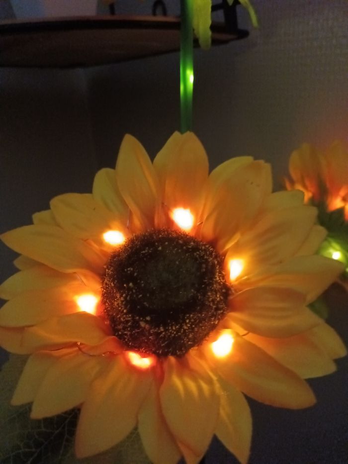 Lumière decorative - photo numéro 4