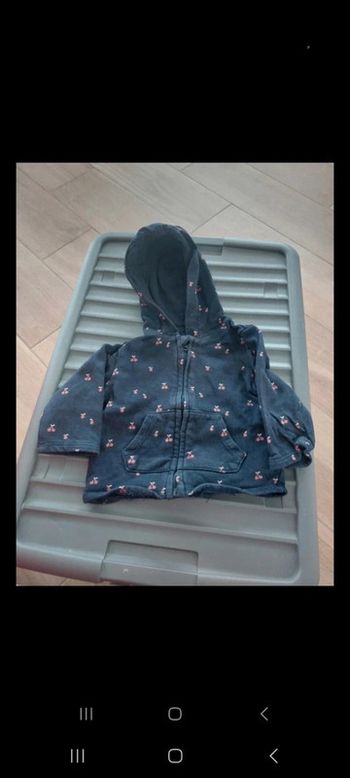 Veste à capuche 9mois