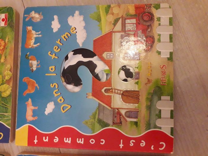 Livres à rabat "c'est comment ? " - photo numéro 3