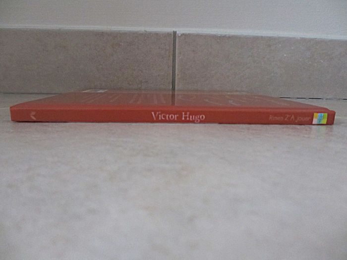 Livre Victor Hugo – 7 Poèmes en Délire - photo numéro 6