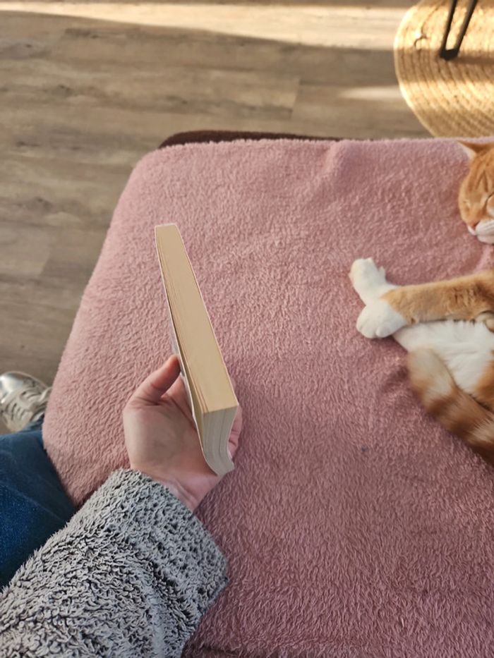 Livre - photo numéro 8