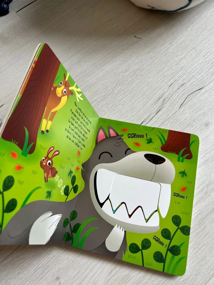 Livre loup - photo numéro 2