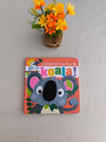 Livre Il ne faut pas toucher un koala