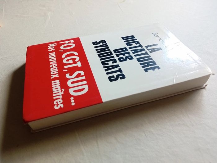La dictature des syndicats  - Nos nouveaux maîtres - photo numéro 3