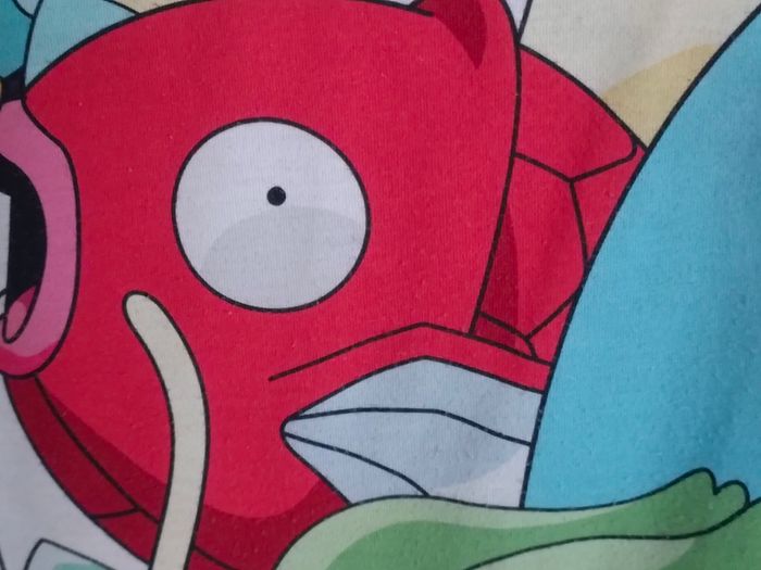 Tee-shirt Pokémon en 158-164 cm - photo numéro 8