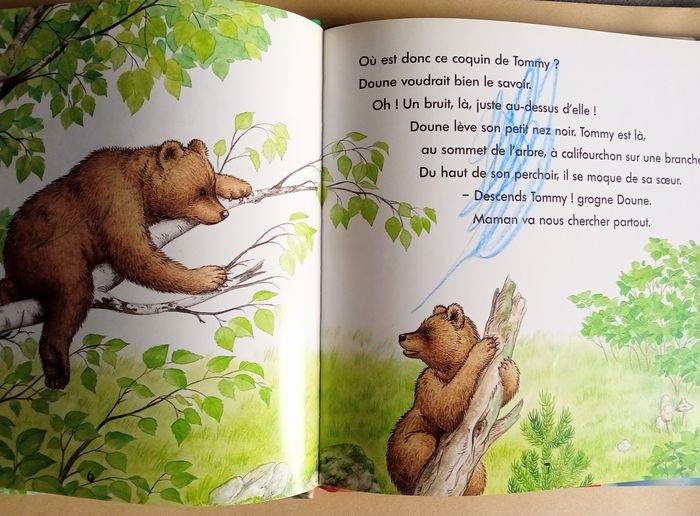 Livre " Le Petit Ours"/"perdu dans la forêt" - photo numéro 5