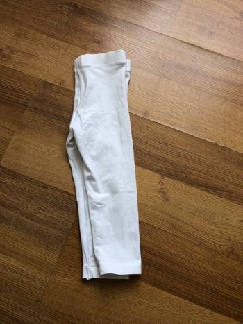 Legging court 