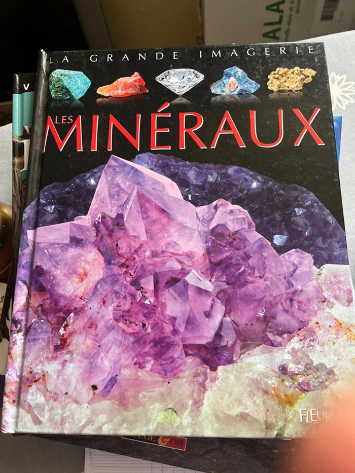 Livre sur les minéraux
