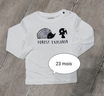 T-shirt ML 23 mois