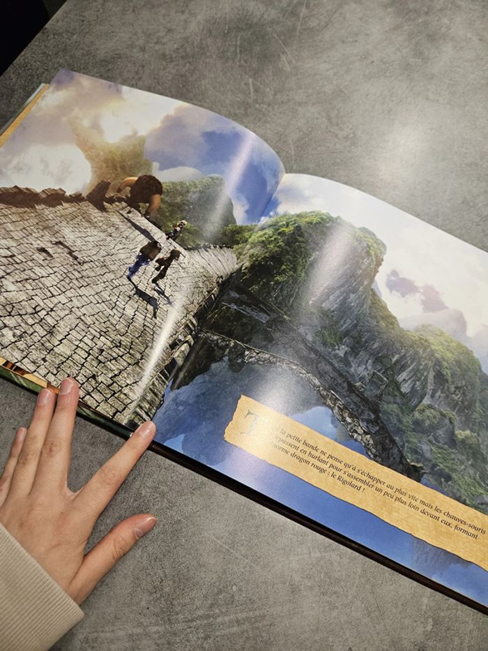 Livre jeunesse "Chasseurs de dragons : l'album du film" - photo numéro 6