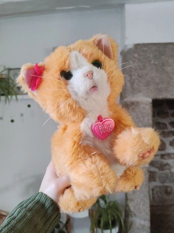Peluche électronique Daisy mon chat joueur - furreal