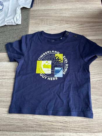 TEE shirt timberland
