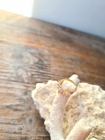 Superbe piercing acier inoxydable