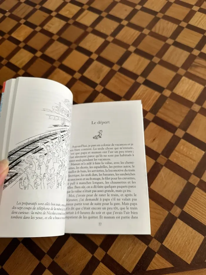 Livre Les Vacances du Petit Nicolas - photo numéro 5