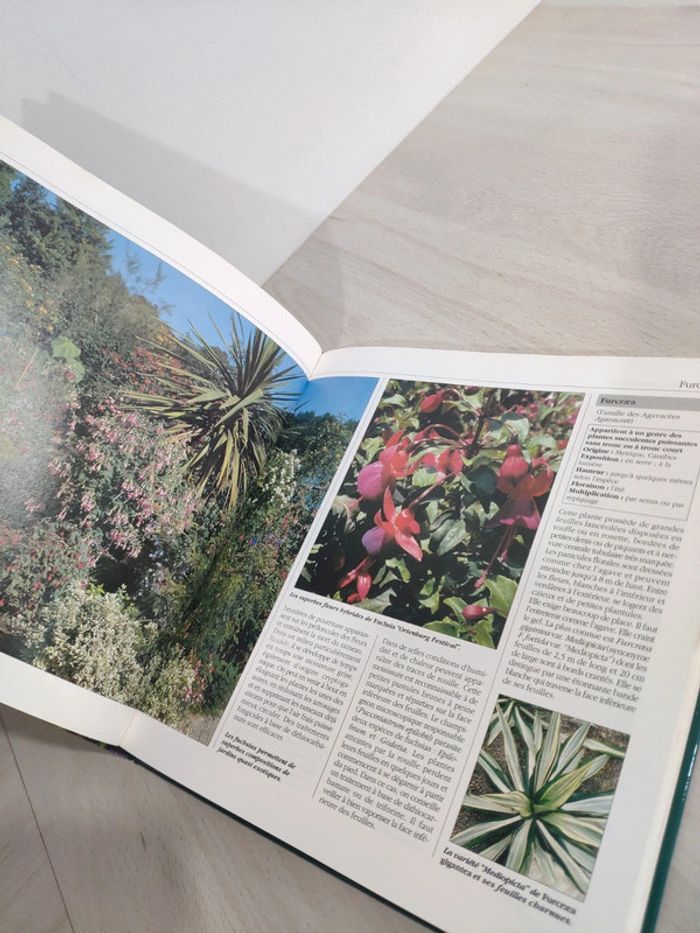 Livre encyclopédie des fleurs et des plantes de jardin - photo numéro 8