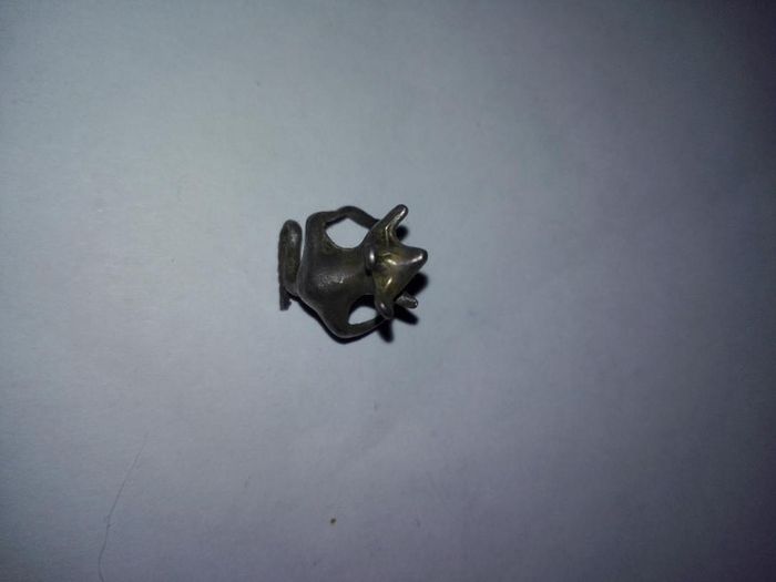 bague d'oreille