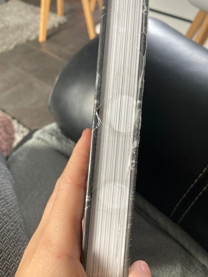 Erreur dans le titre - photo numéro 2