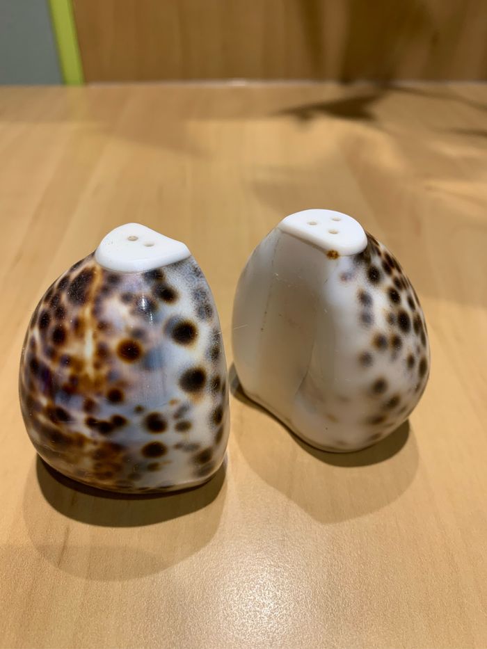 Salière et poivrière en coquillage