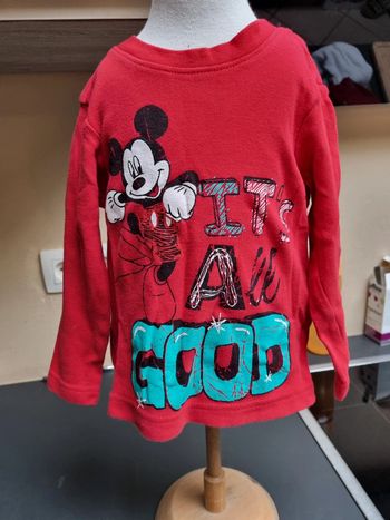 Pull fin Mickey