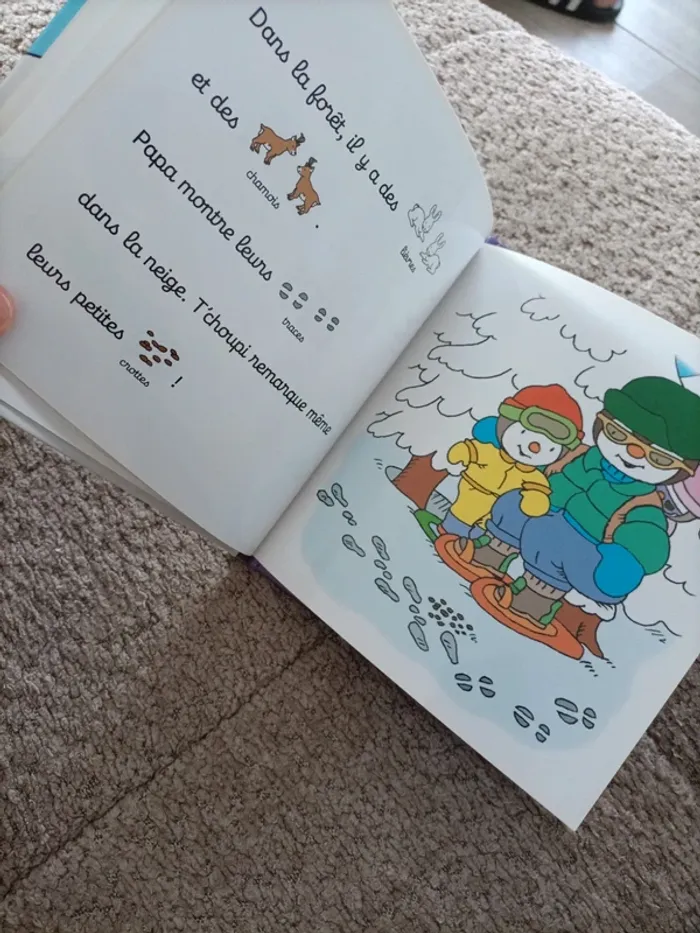 Livre T'choupi à la neige - photo numéro 11