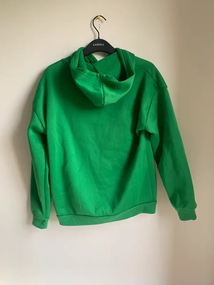 Sweat capuche - photo numéro 2