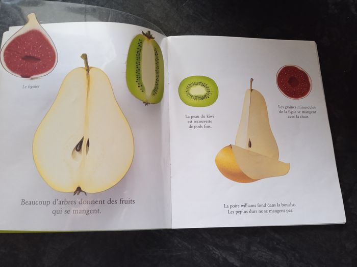 Mes livres magiques cache cache avec les fruits du jardin - photo numéro 8