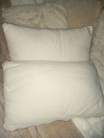 Lot de 2 coussins beige 