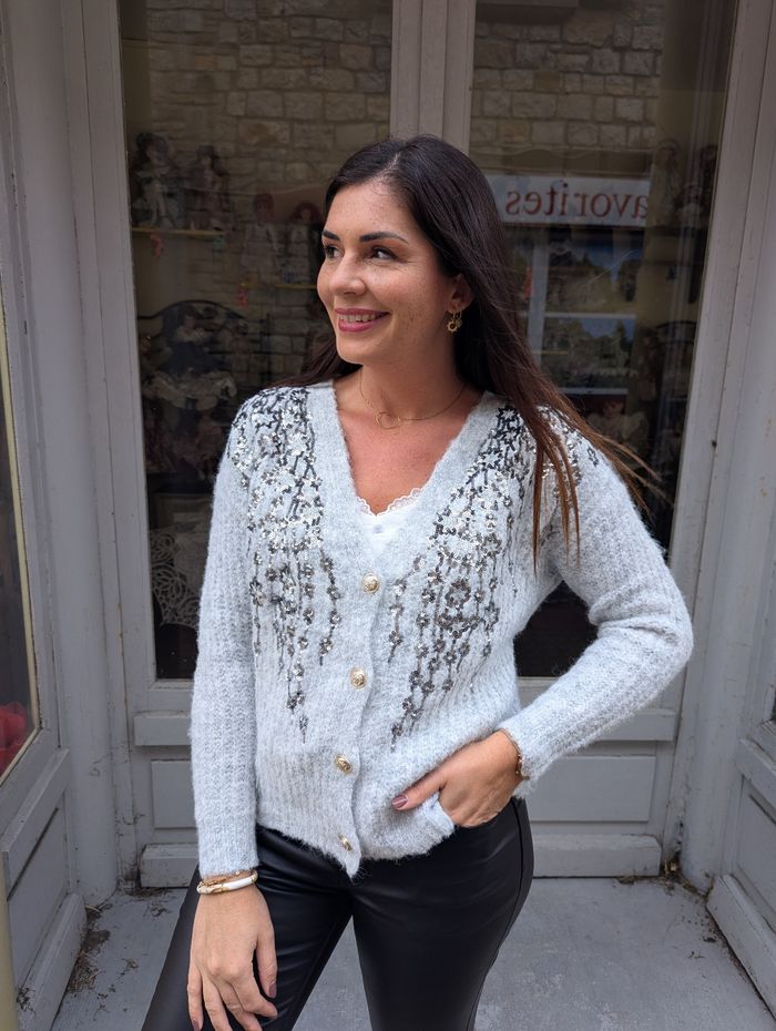 Gilet cardigan La Clusaz gris/argent
Taille unique