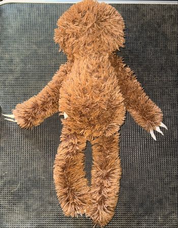 Peluche paresseux pour chien