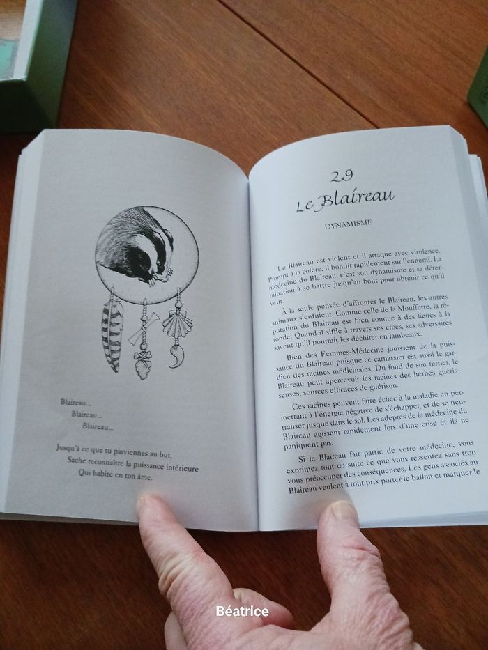 Les cartes medecine - photo numéro 6