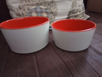 2 petits Bols/Ramequins/Saladiers Rouges et Blancs