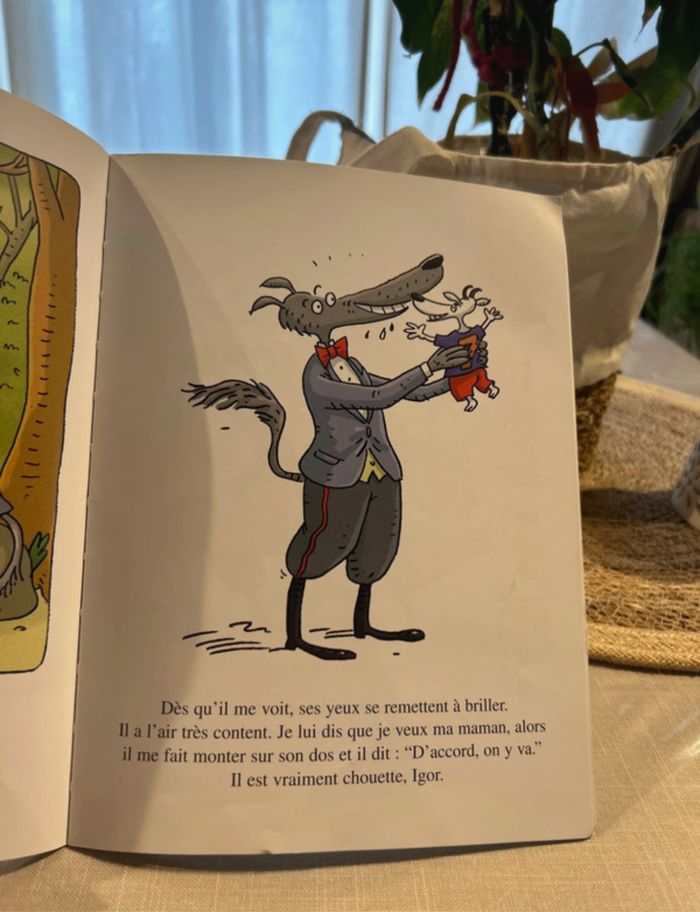 Balthazar ! - photo numéro 4