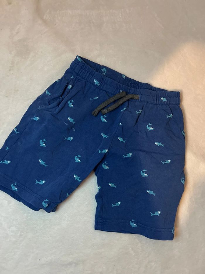 Short requin - photo numéro 2