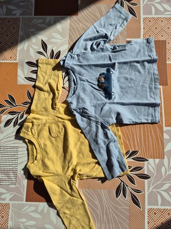 Lot de 2 tee-shirt manches longues