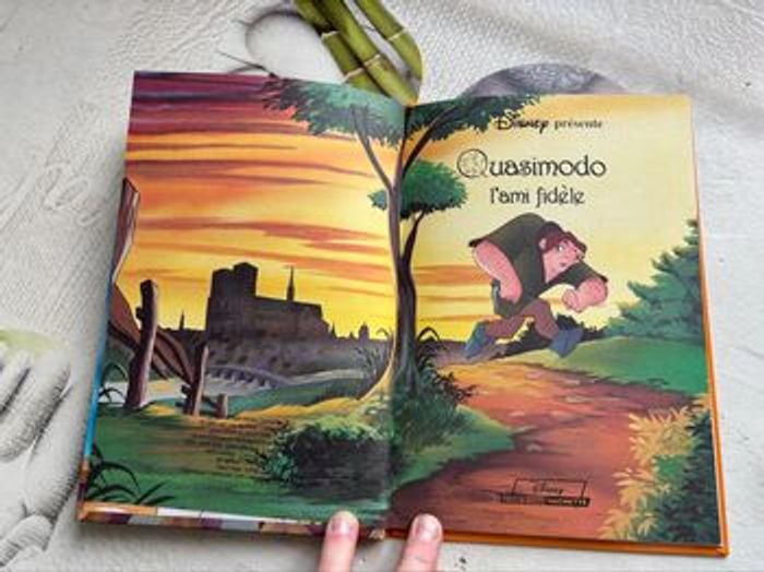 Livre Disney - photo numéro 2