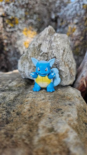 Super figurine Pokemon Nintendo tomy C.G.T.S.J Carabaffe