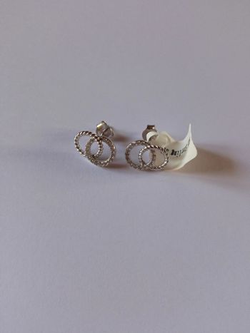 Boucles d'oreilles "anneaux entrelacés"