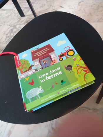 Livre jouet La ferme pop up