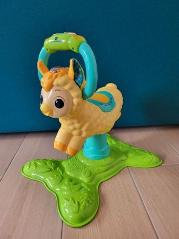 Lama  rodéo interactif