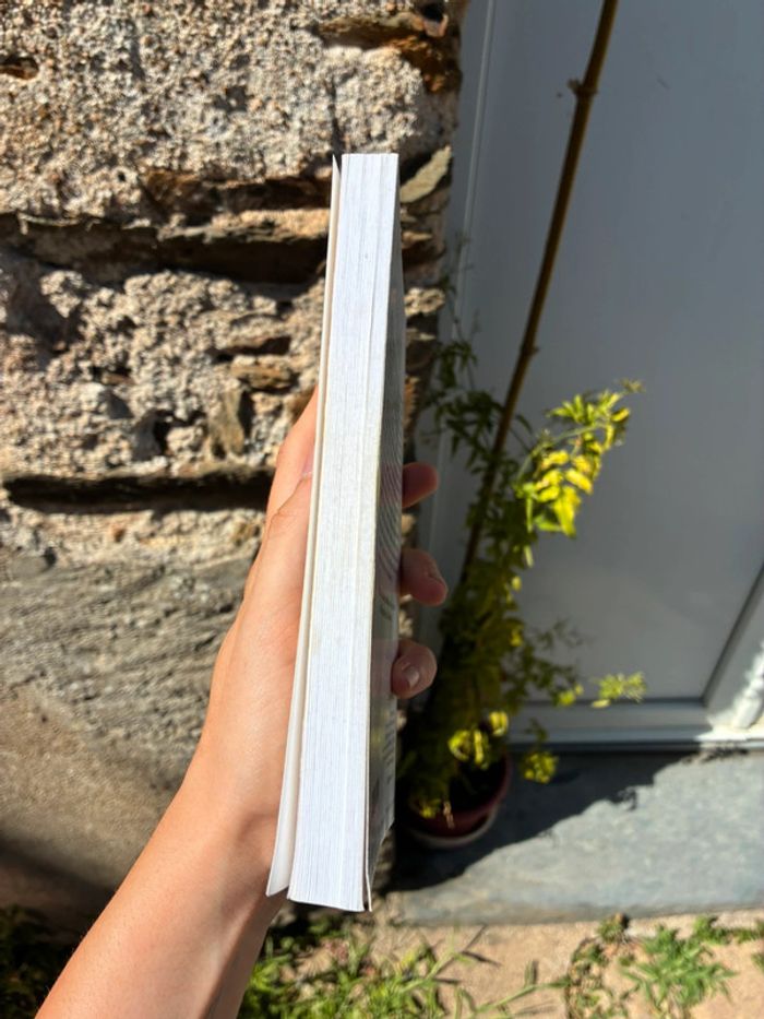 Platon Apologie de Socrate - Criton - photo numéro 3