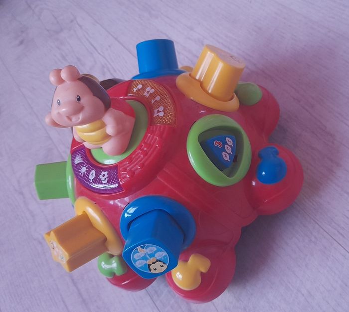 Coccinelle des formes - photo numéro 4