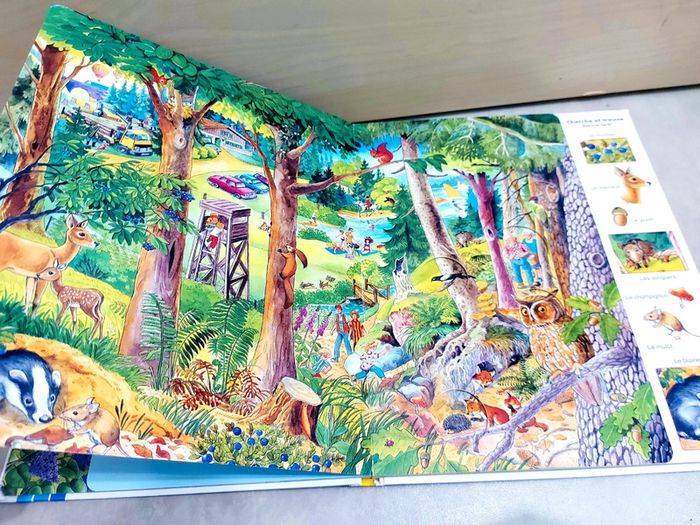 📚 Livre jeux : Mon grand livre pour chercher trouver explorer - photo numéro 4