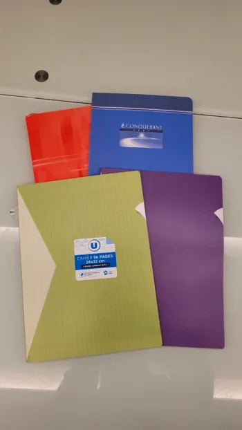 Lot 4 cahiers petits et grands carreaux