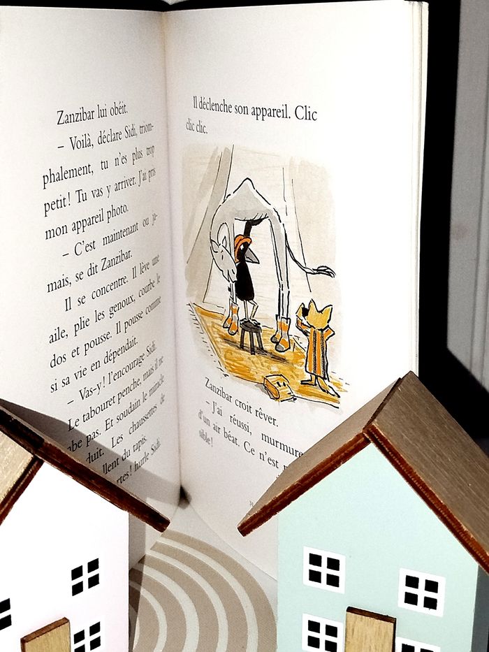 📚 École des loisirs L'incroyable zanzibar - photo numéro 2