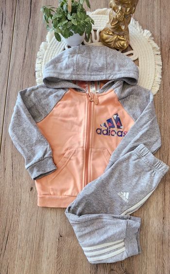 Ensemble Fille 18/24mois Adidas Gris Abricot