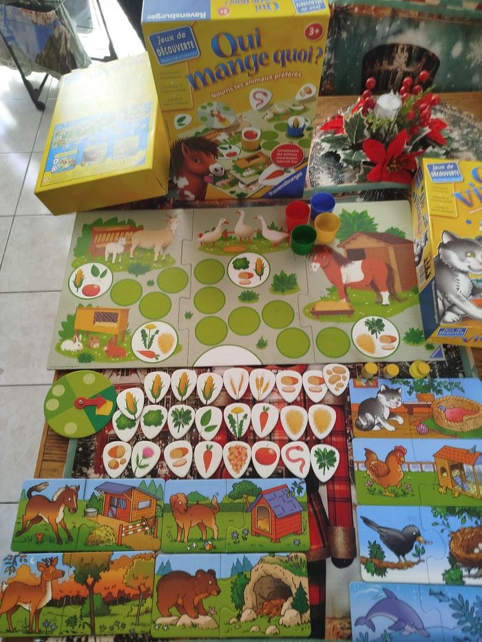 Lot de deux éducatifs - photo numéro 6