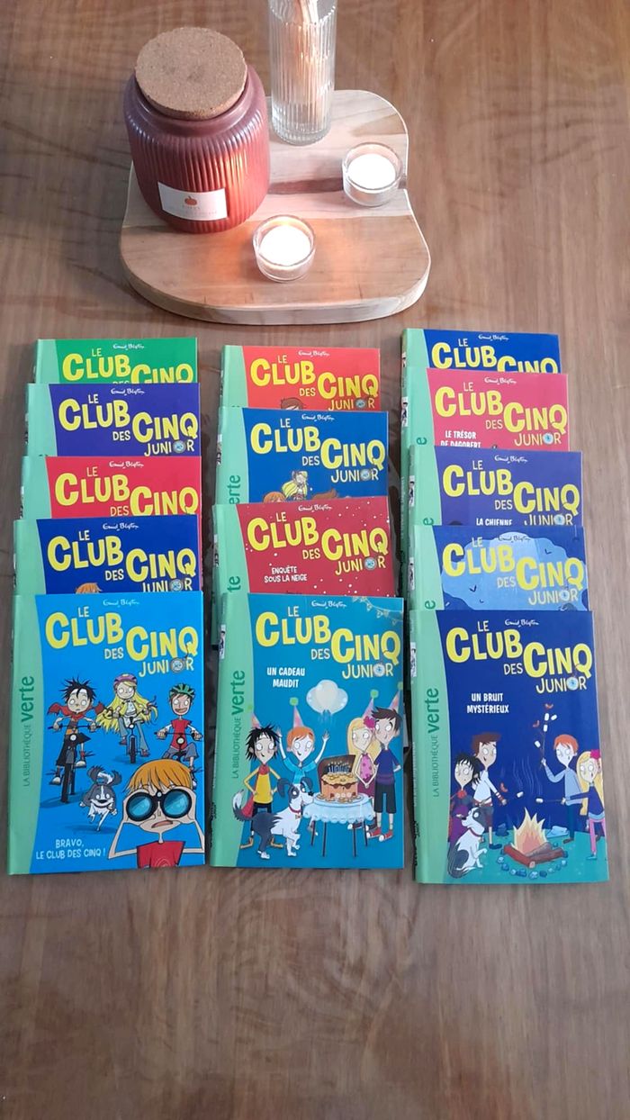 📚 Lot 14 livres Le club des 5 junior