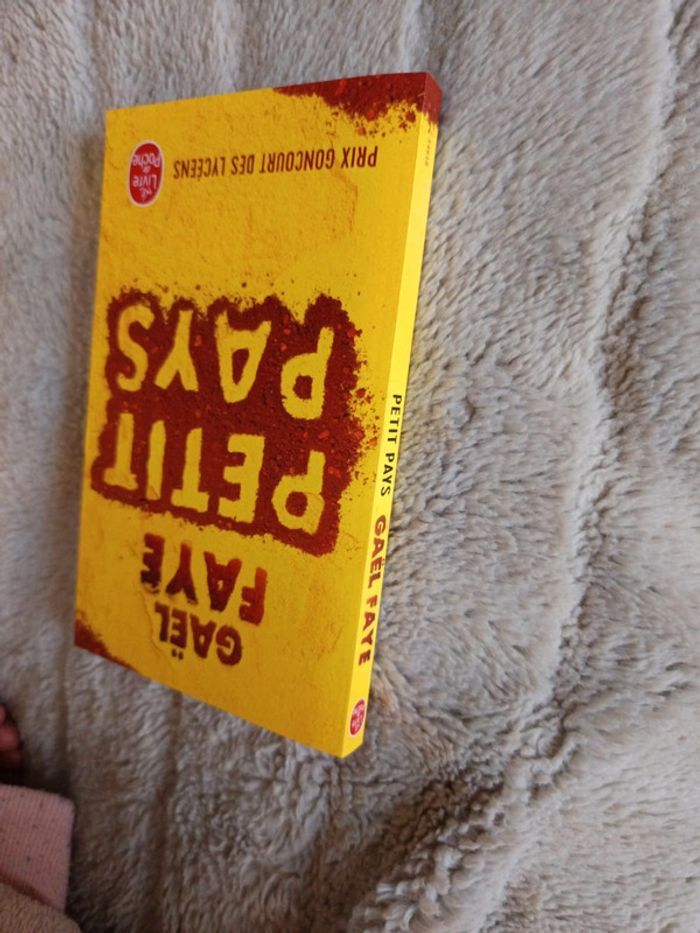 Petit pays de Gaël Faye - photo numéro 6