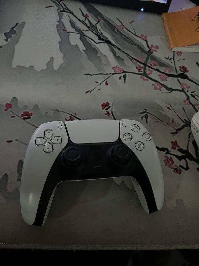 PlayStation - photo numéro 2