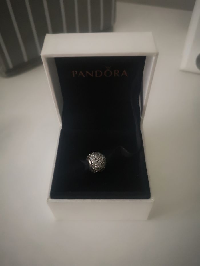 Charm Pandora